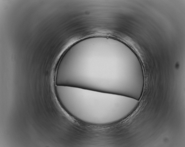 X0000098081235200804040744