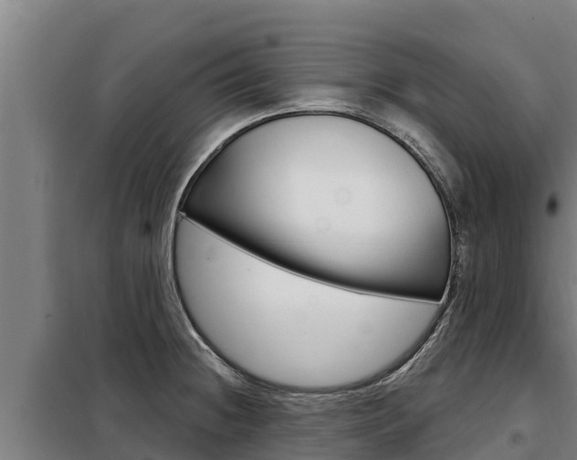 X0000098081236200804040744