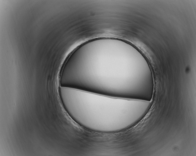 X0000098081238200804040744