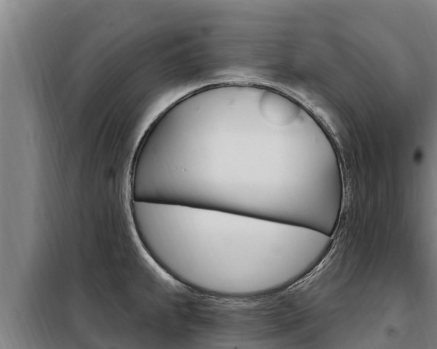 X0000098081239200804040744