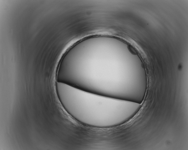 X0000098081240200804040744