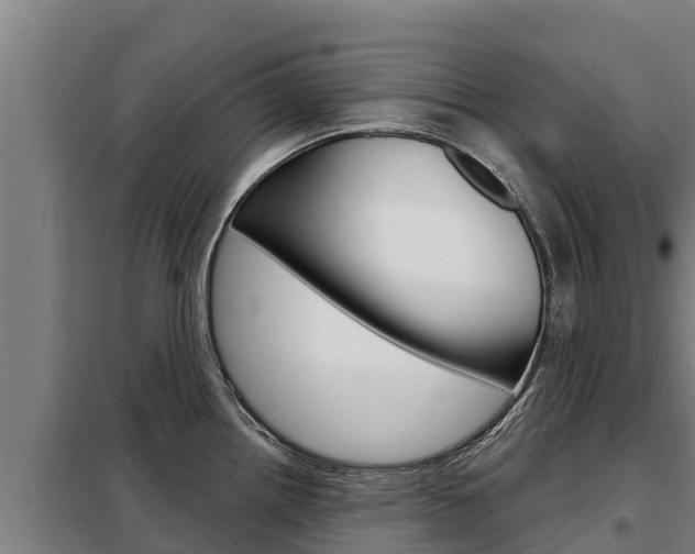 X0000098081242200804040744