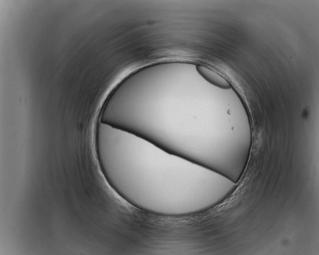 X0000098081243200804040744
