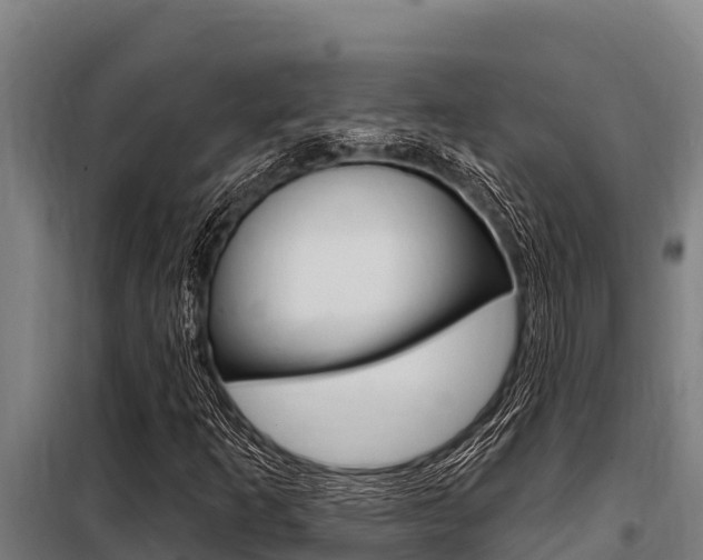 X0000098081253200804040743