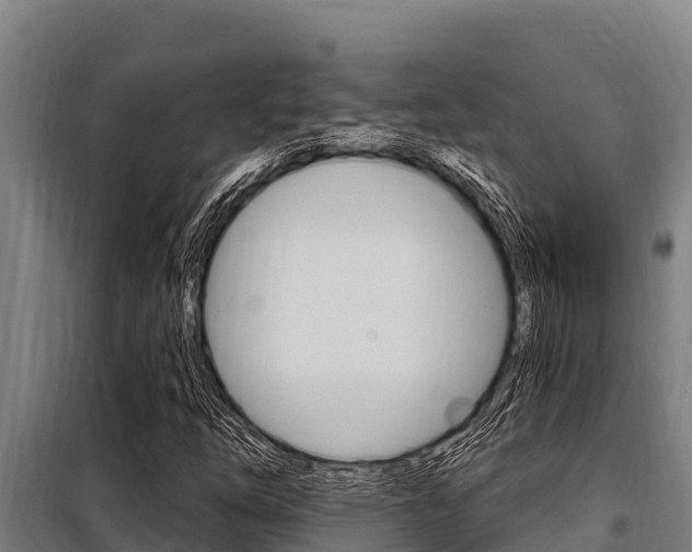 X0000098081254200804040743