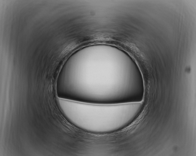 X0000098081257200804040743