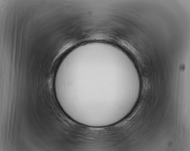 X0000098081258200804040743
