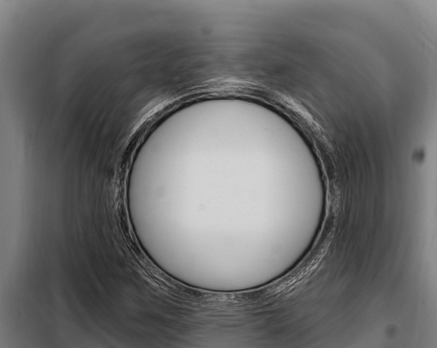 X0000098081259200804040743