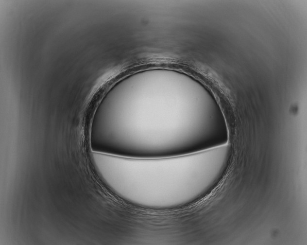 X0000098081261200804040743