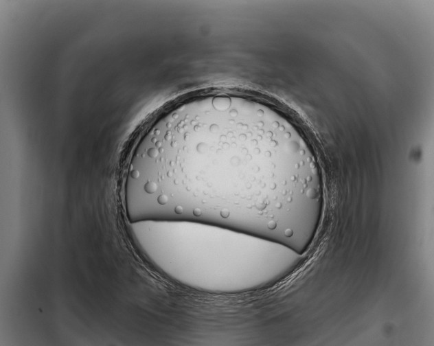 X0000098081263200804040743