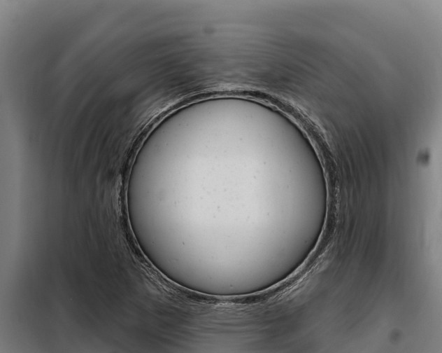 X0000098081265200804040743