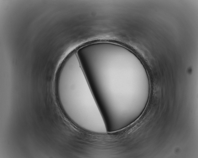 X0000098081270200804040743