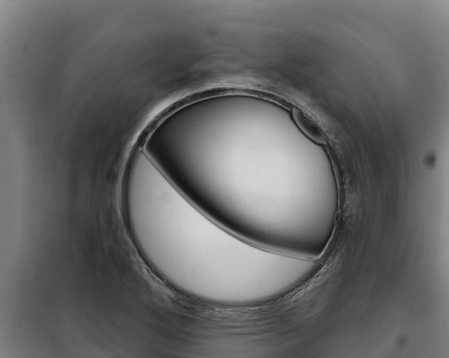 X0000098081272200804040743