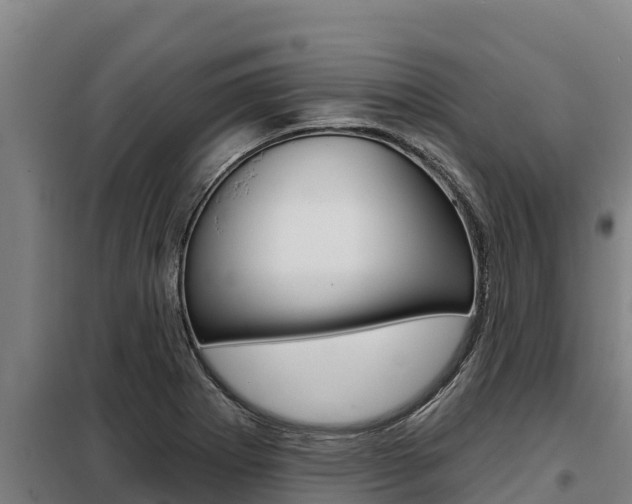 X0000098081273200804040743