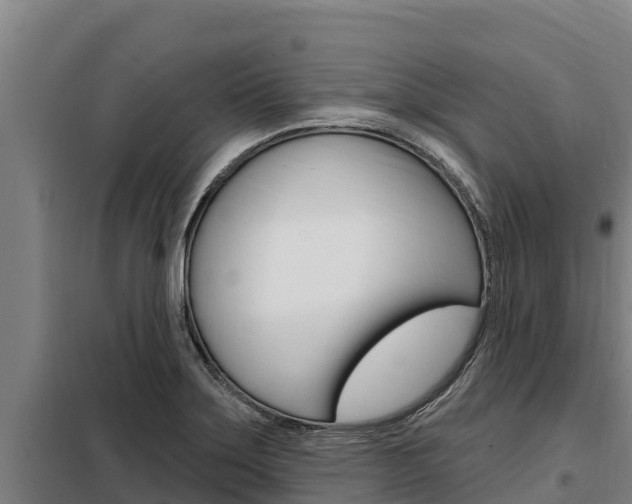 X0000098081275200804040743