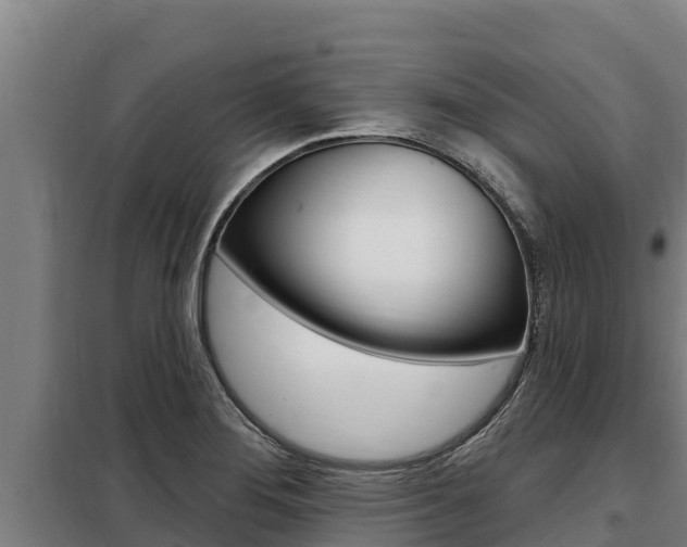 X0000098081276200804040743