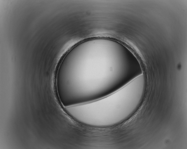 X0000098081277200804040743