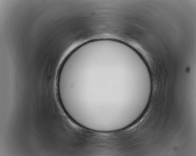 X0000098081278200804040743