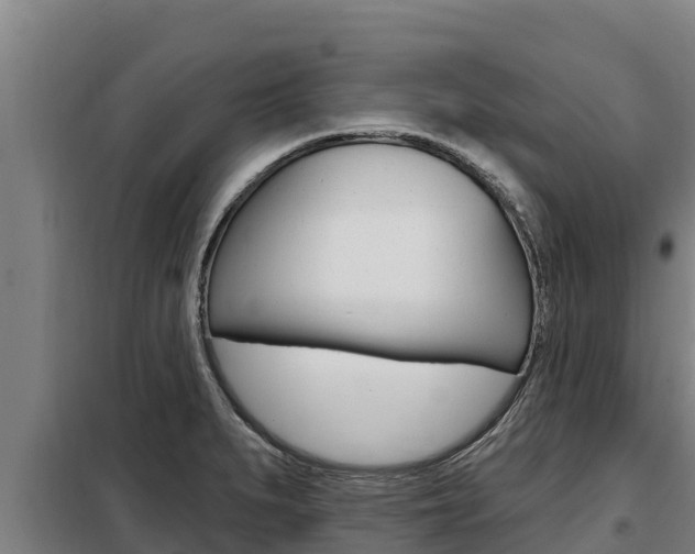 X0000098081279200804040743