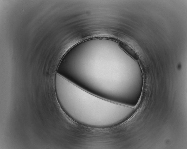 X0000098081281200804040743