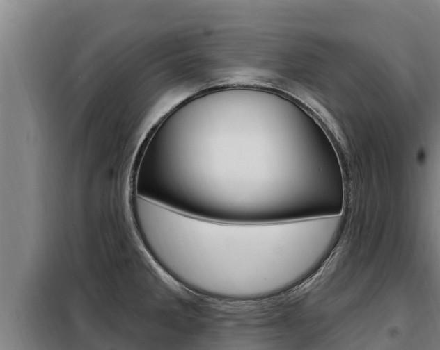 X0000098081285200804040743