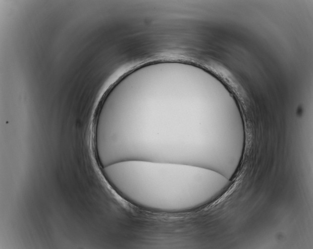 X0000098081286200804040743