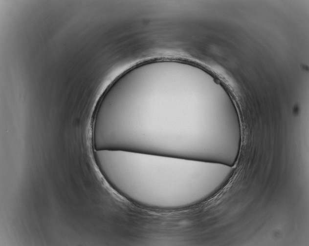 X0000098081287200804040743