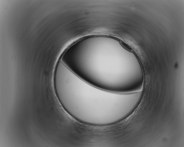 X0000098081288200804040743