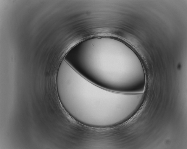 X0000098081289200804040743