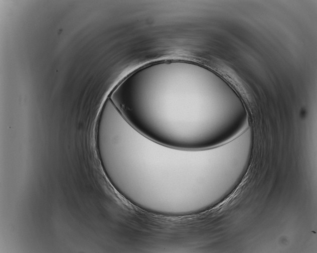 X0000098081292200804040743