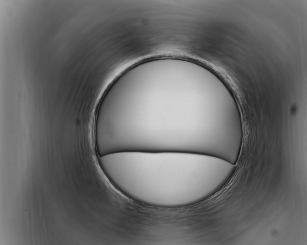 X0000098081295200804040742