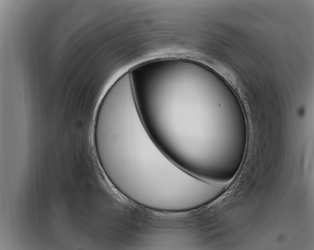 X0000098081296200804040742