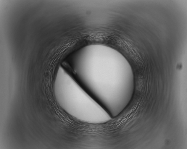 X0000098081297200804040742