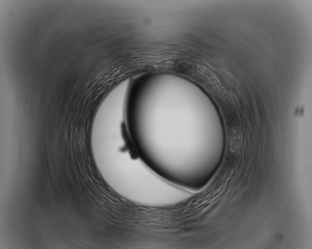 X0000098081298200804040742