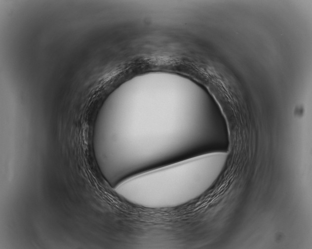 X0000098081301200804040742