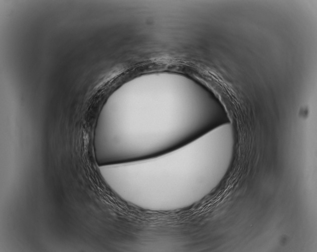 X0000098081302200804040742