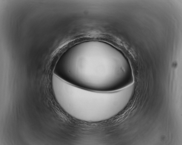 X0000098081304200804040742
