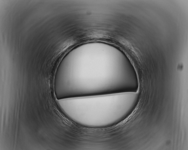 X0000098081305200804040742