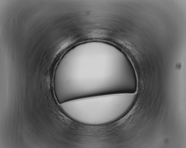 X0000098081306200804040742