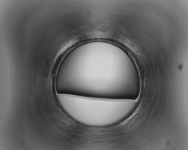 X0000098081309200804040742