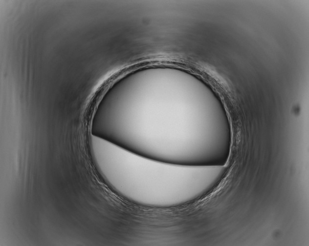 X0000098081310200804040742