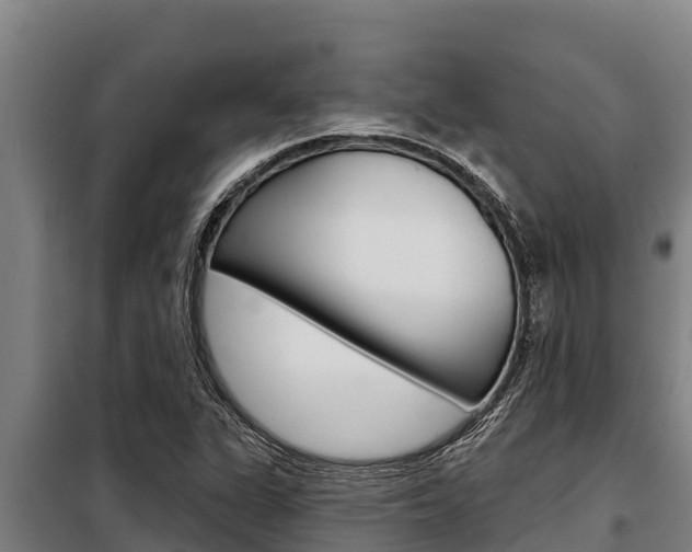X0000098081311200804040742