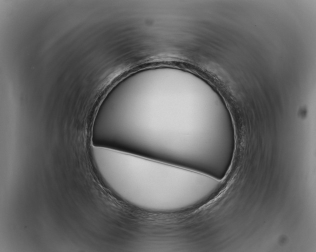 X0000098081313200804040742