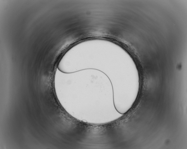 X0000098081314200804040742