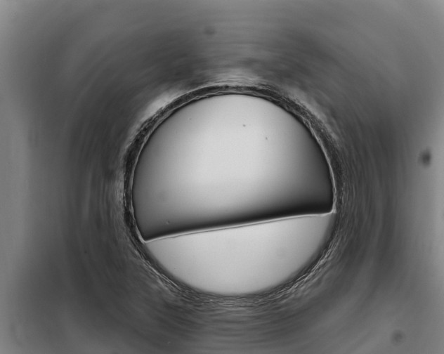 X0000098081315200804040742