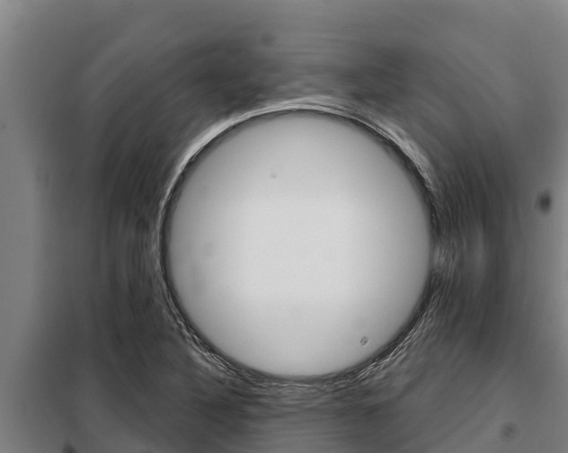X0000098081316200804040742