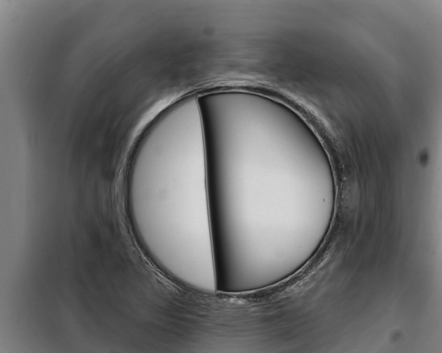 X0000098081317200804040742