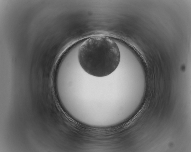 X0000098081318200804040742
