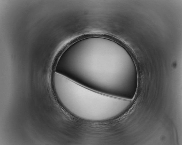 X0000098081319200804040742