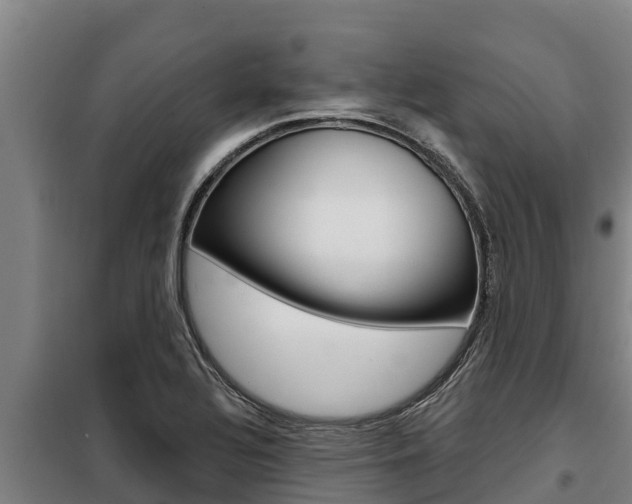 X0000098081320200804040742